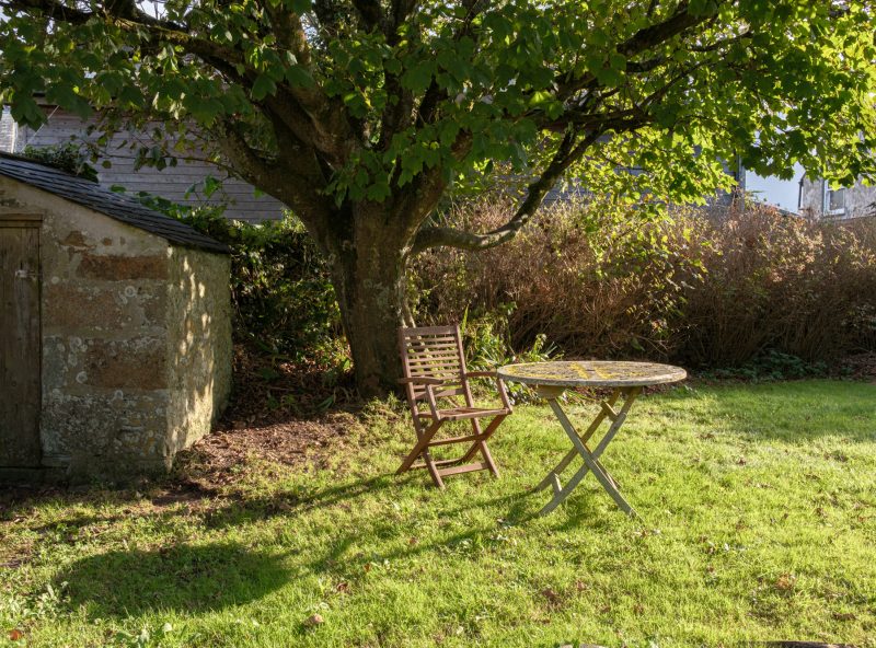 Evening sunlight in the garden at Banjo Cottage