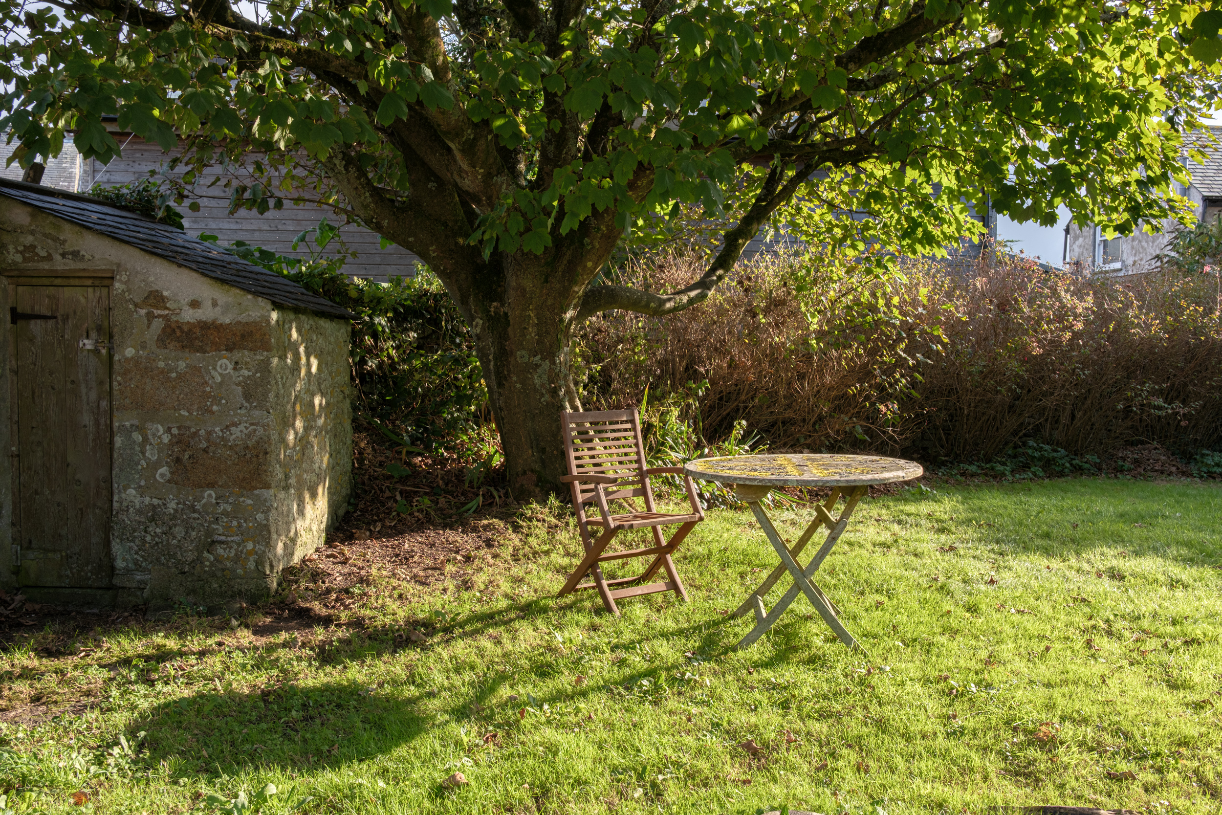 Late sunlight in the garden at Banjo Cottage on Cape Cornwall Street, St Just 02_10_24-2 (2500px)